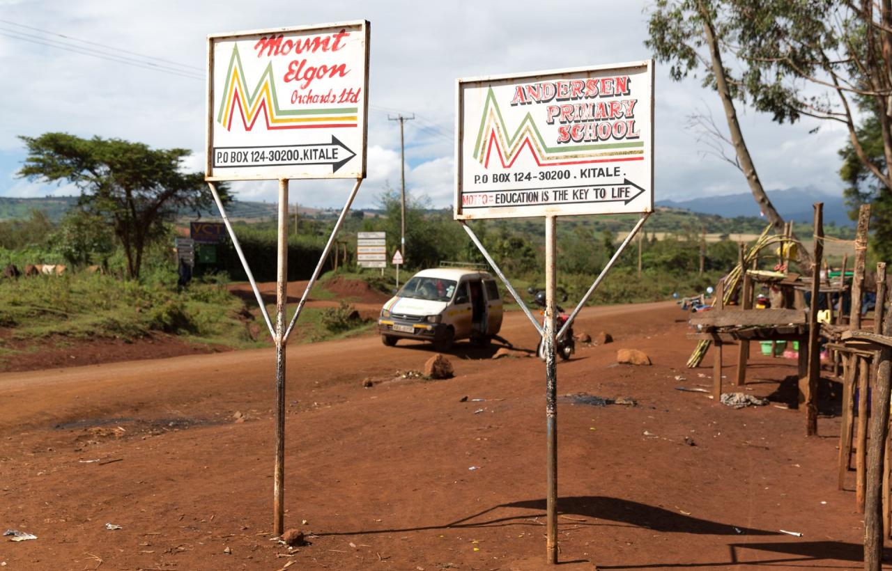 Ферма MT Elgon (Mount Elgon Orchards), Кения