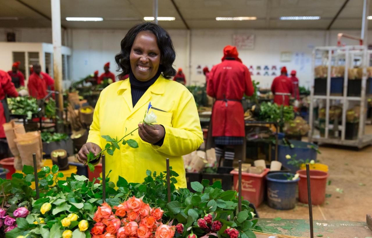 Ферма MT Elgon (Mount Elgon Orchards), Кения