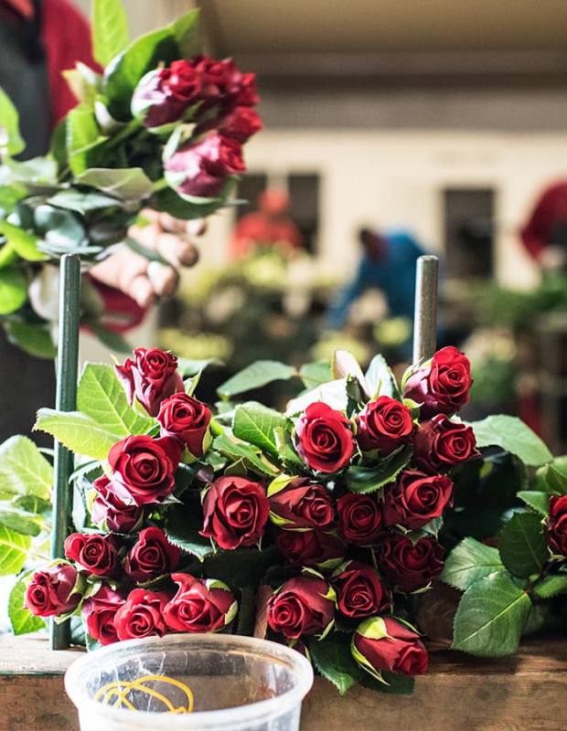 Ферма MT Elgon (Mount Elgon Orchards), Кения