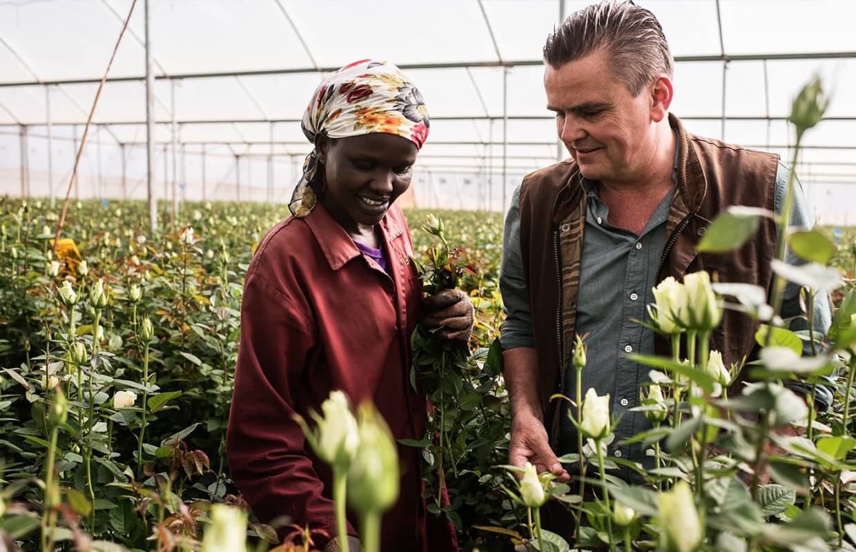 Ферма MT Elgon (Mount Elgon Orchards), Кения