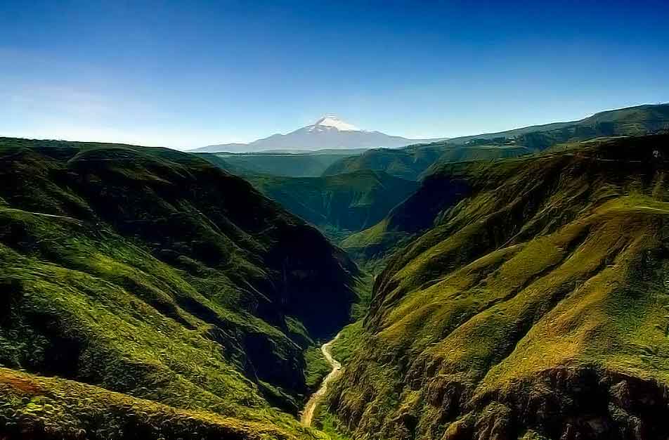 Ферма NATIVE BLOOMS - ROSAS DEL COTOPAXI FARM (Эквадор)