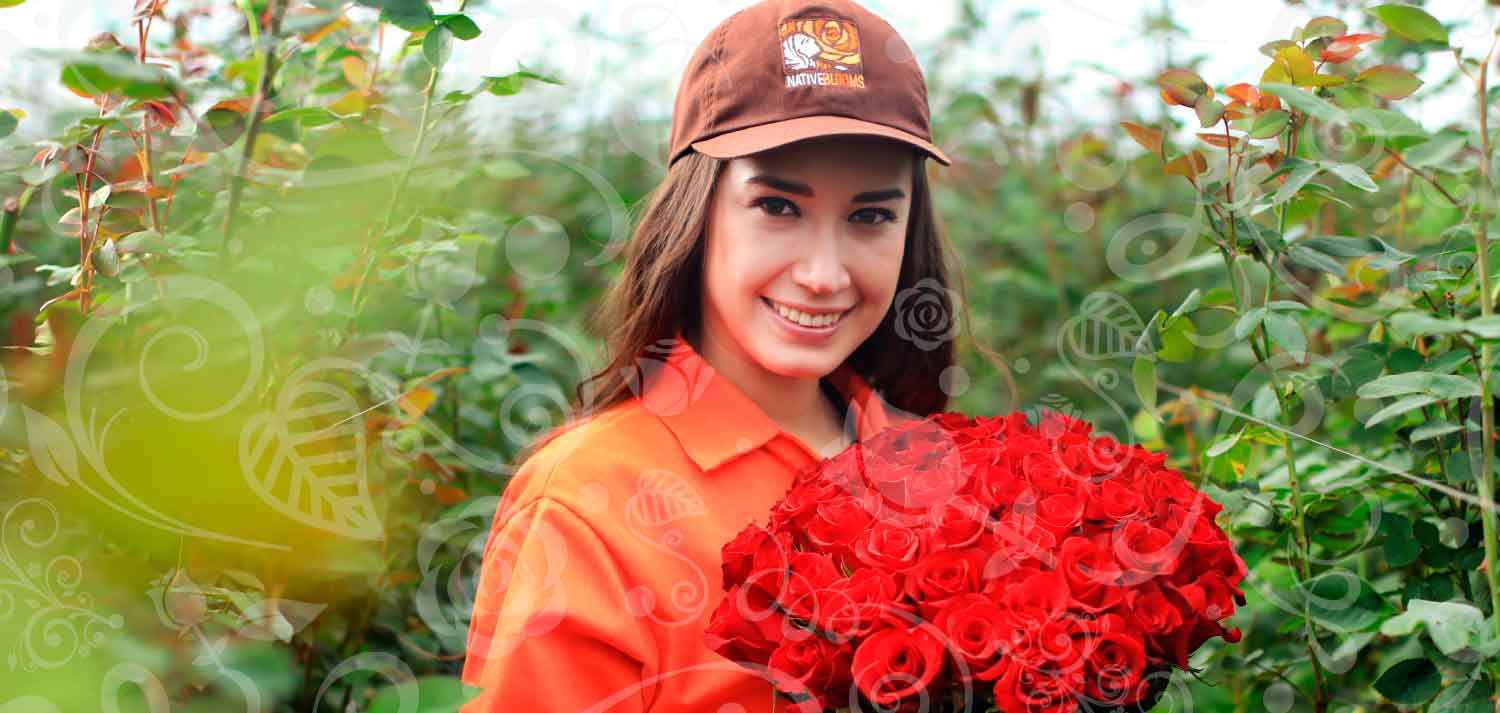 Ферма NATIVE BLOOMS - ROSAS DEL COTOPAXI FARM (Эквадор)
