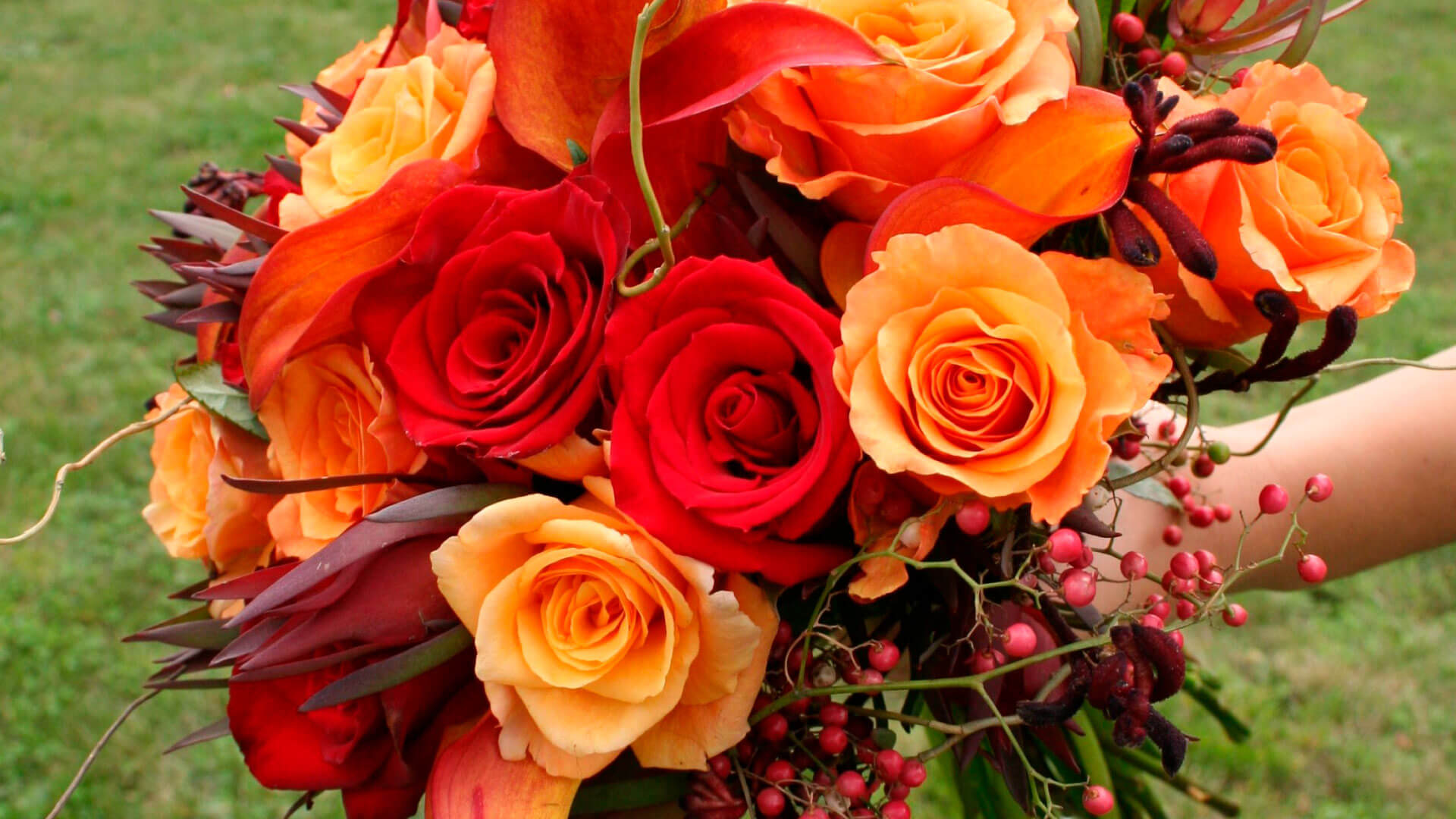 Ферма NATIVE BLOOMS - ROSAS DEL COTOPAXI FARM (Эквадор)