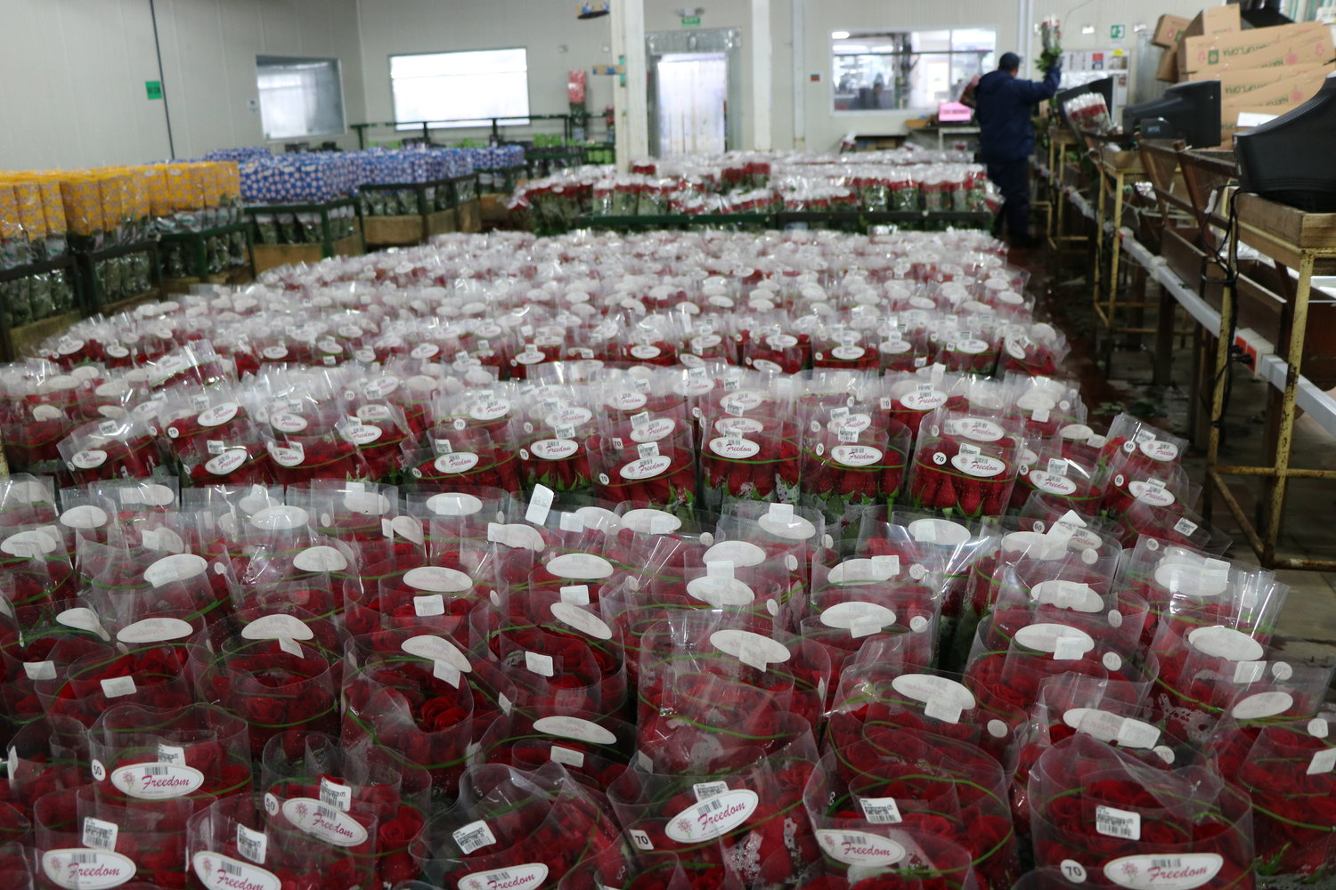 Ферма Natuflora (Колумбия)