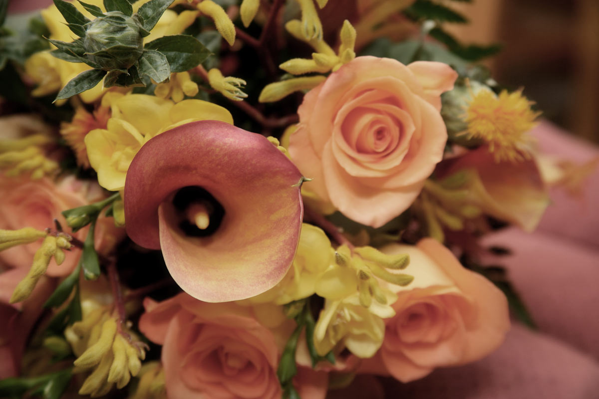 Ферма Nikita Flowers (Эквадор)