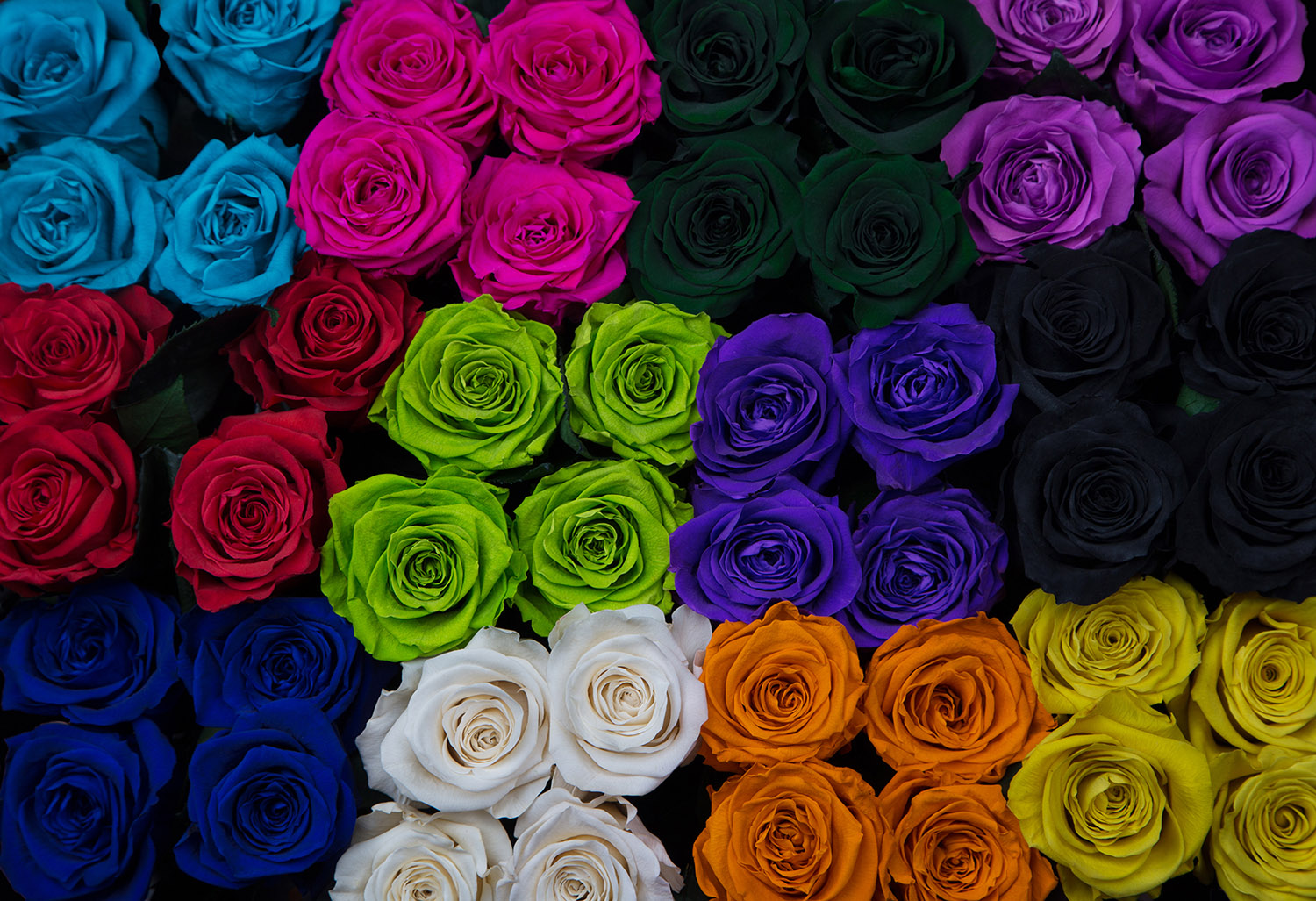 Ферма Quimbiamba M. Flowers (Эквадор)