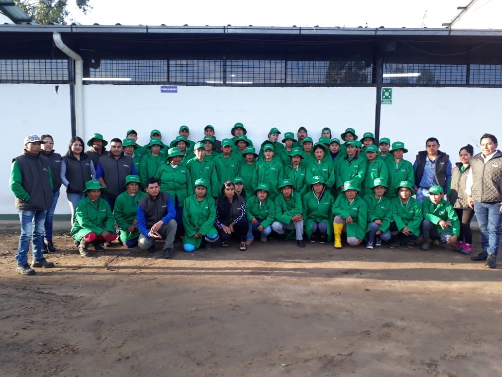 Ферма Quimbiamba M. Flowers (Эквадор)