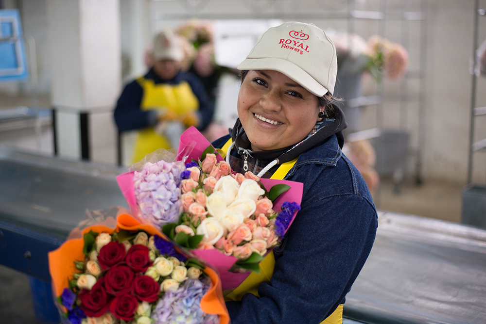 Royal Flowers (Эквадор)