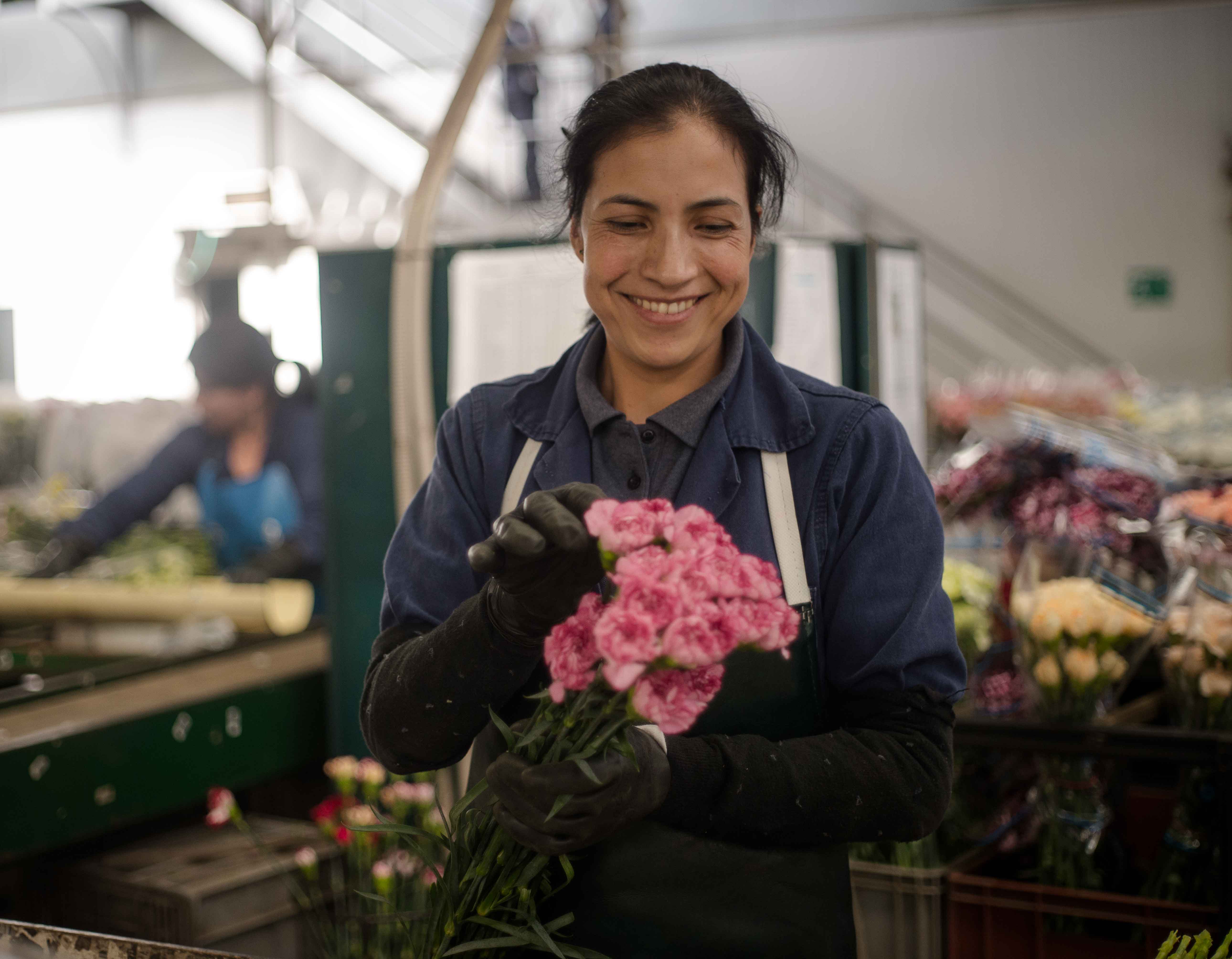 Ферма Serrezuela (Колумбия)