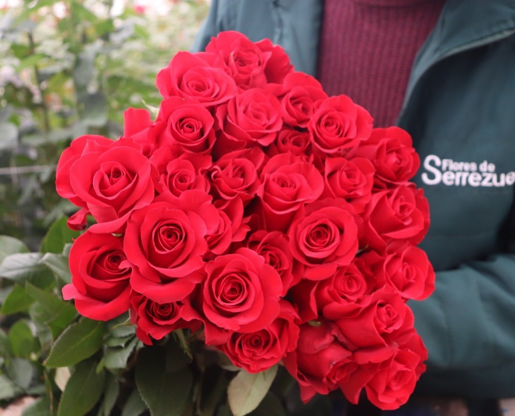 Ферма Serrezuela (Колумбия)