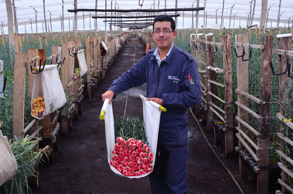 Ферма Serrezuela (Колумбия)