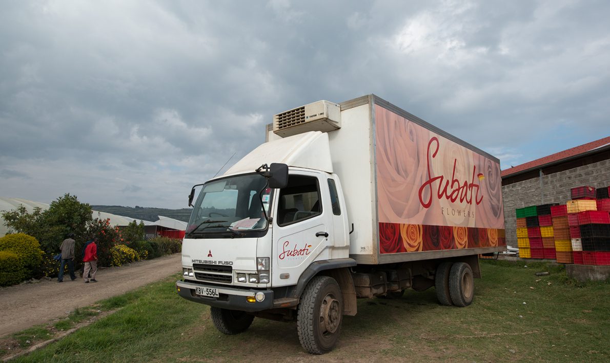 Subati Flowers (Кения)