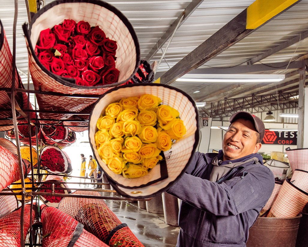 Цветочная плантация TESSA Corp (Эквадор)