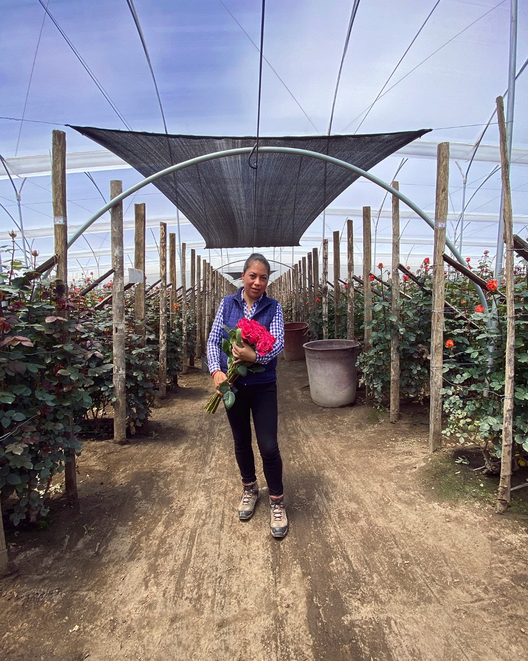 Цветочная плантация TESSA Corp (Эквадор)