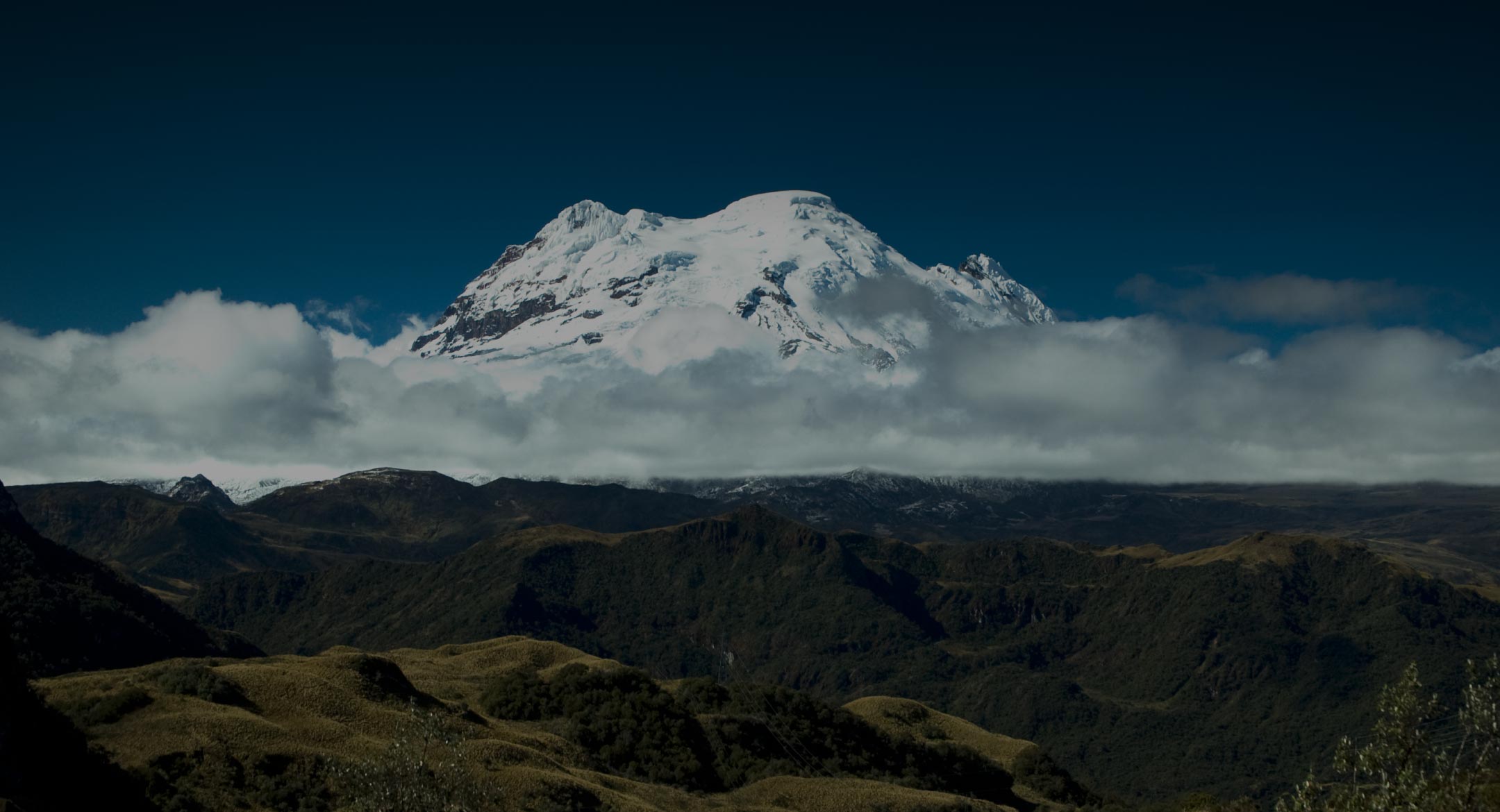 Welyflor (Эквадор)