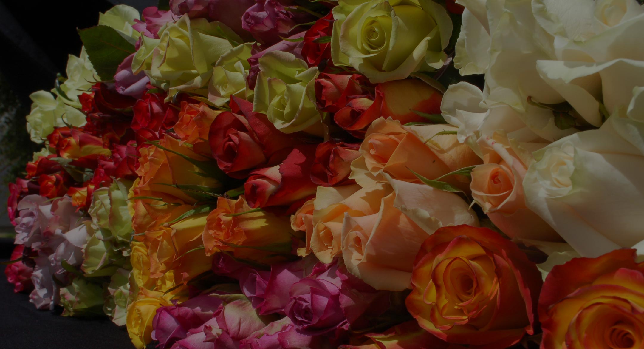 Welyflor (Эквадор)