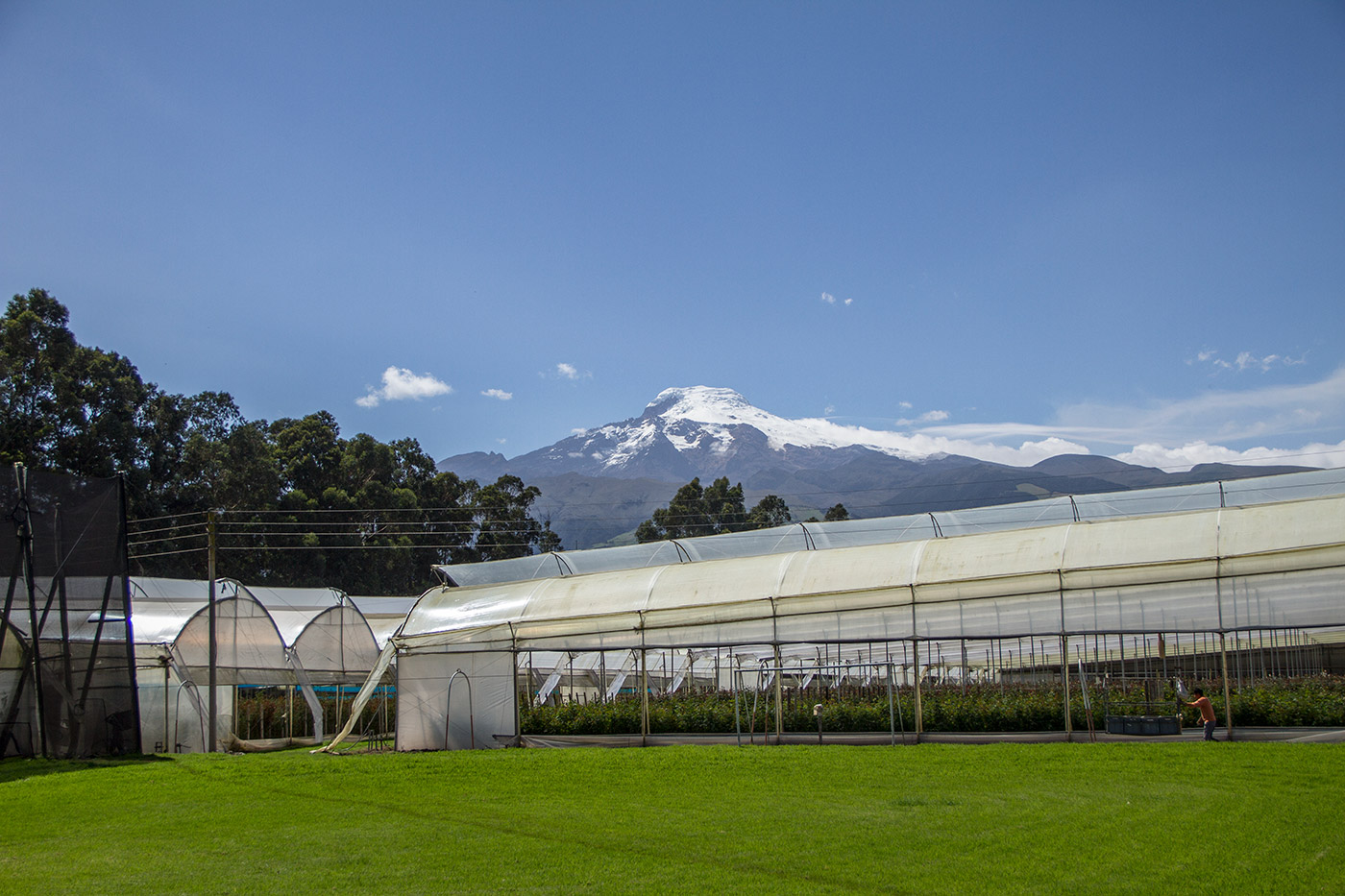 Ceres Farms (Эквадор)