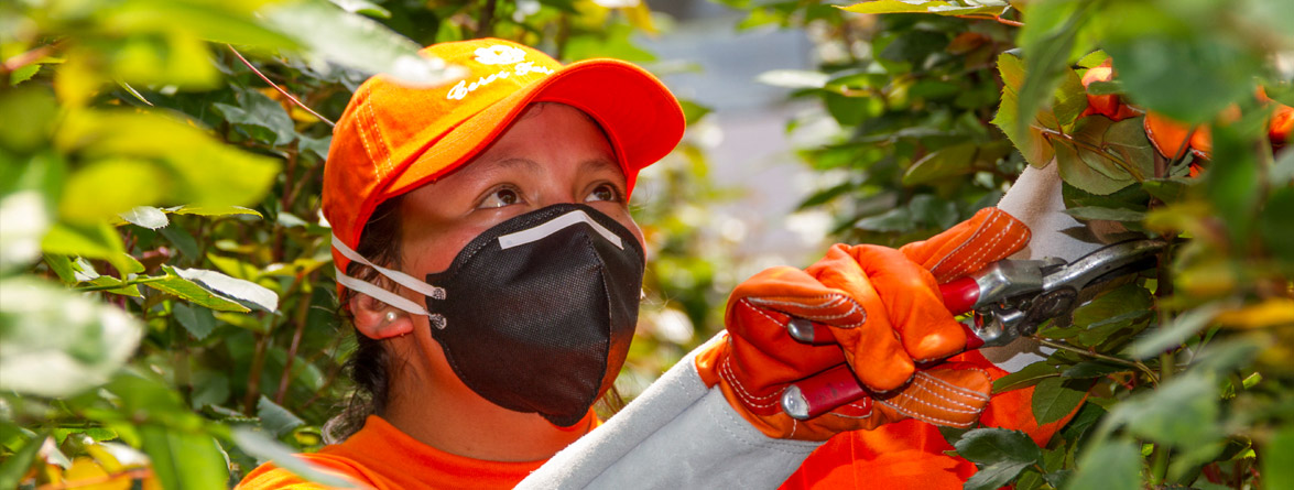 Ceres Farms (Эквадор)