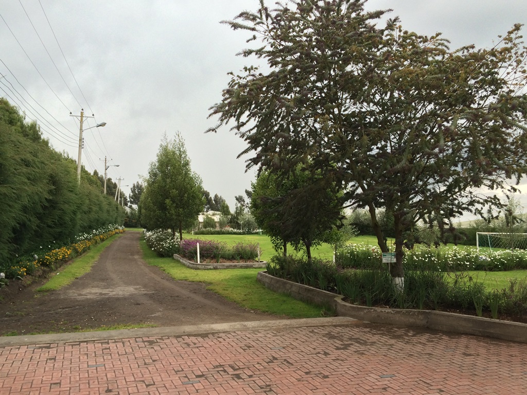 Ecuaplanet Roses - Blooming Acres, Highland Blossoms и Volcano Gardens