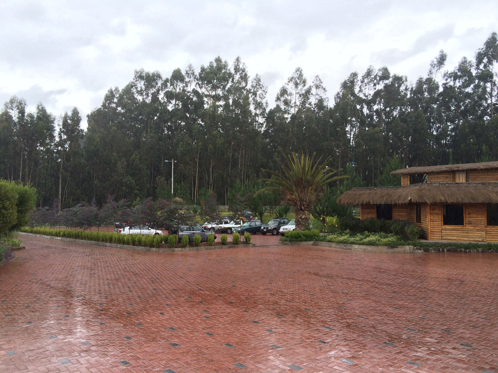 Ecuaplanet Roses - Blooming Acres, Highland Blossoms и Volcano Gardens