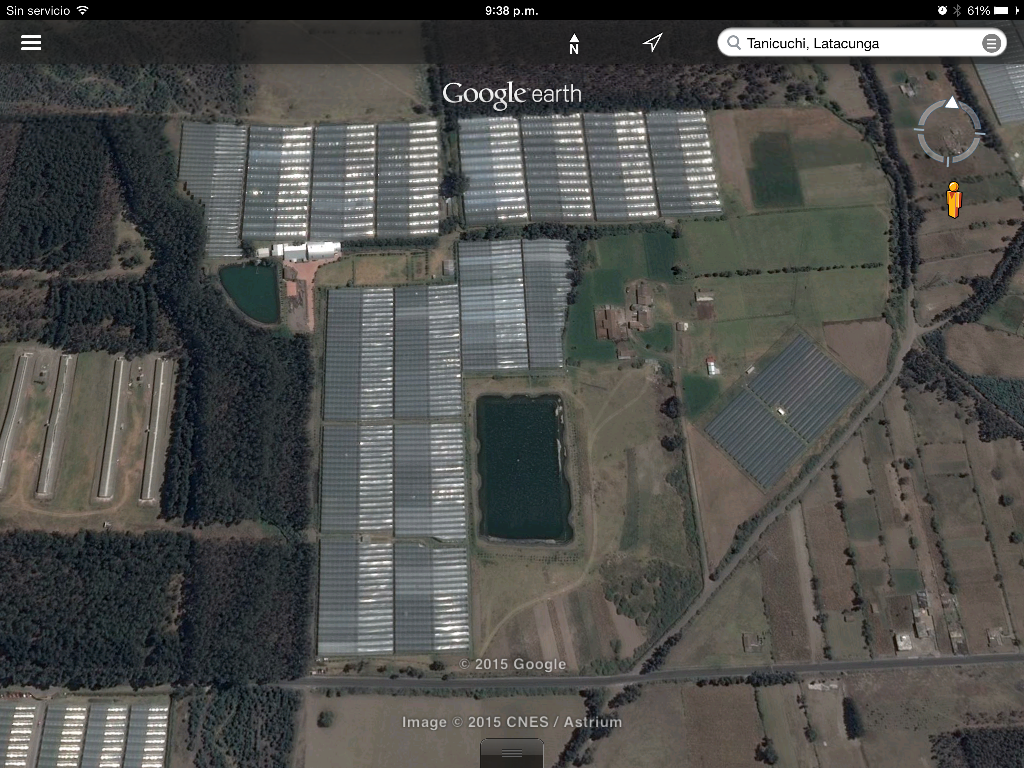 Ecuaplanet Roses - Blooming Acres, Highland Blossoms и Volcano Gardens