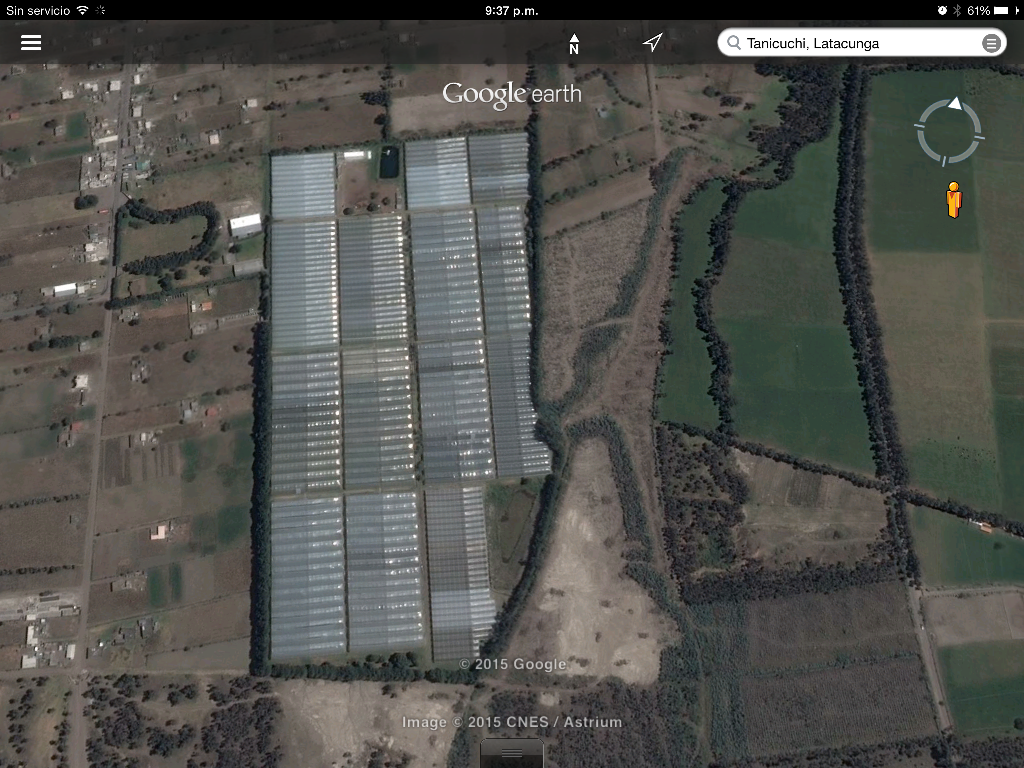 Ecuaplanet Roses - Blooming Acres, Highland Blossoms и Volcano Gardens